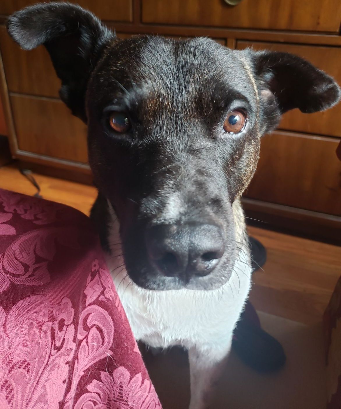 Close-up of Guante’s face