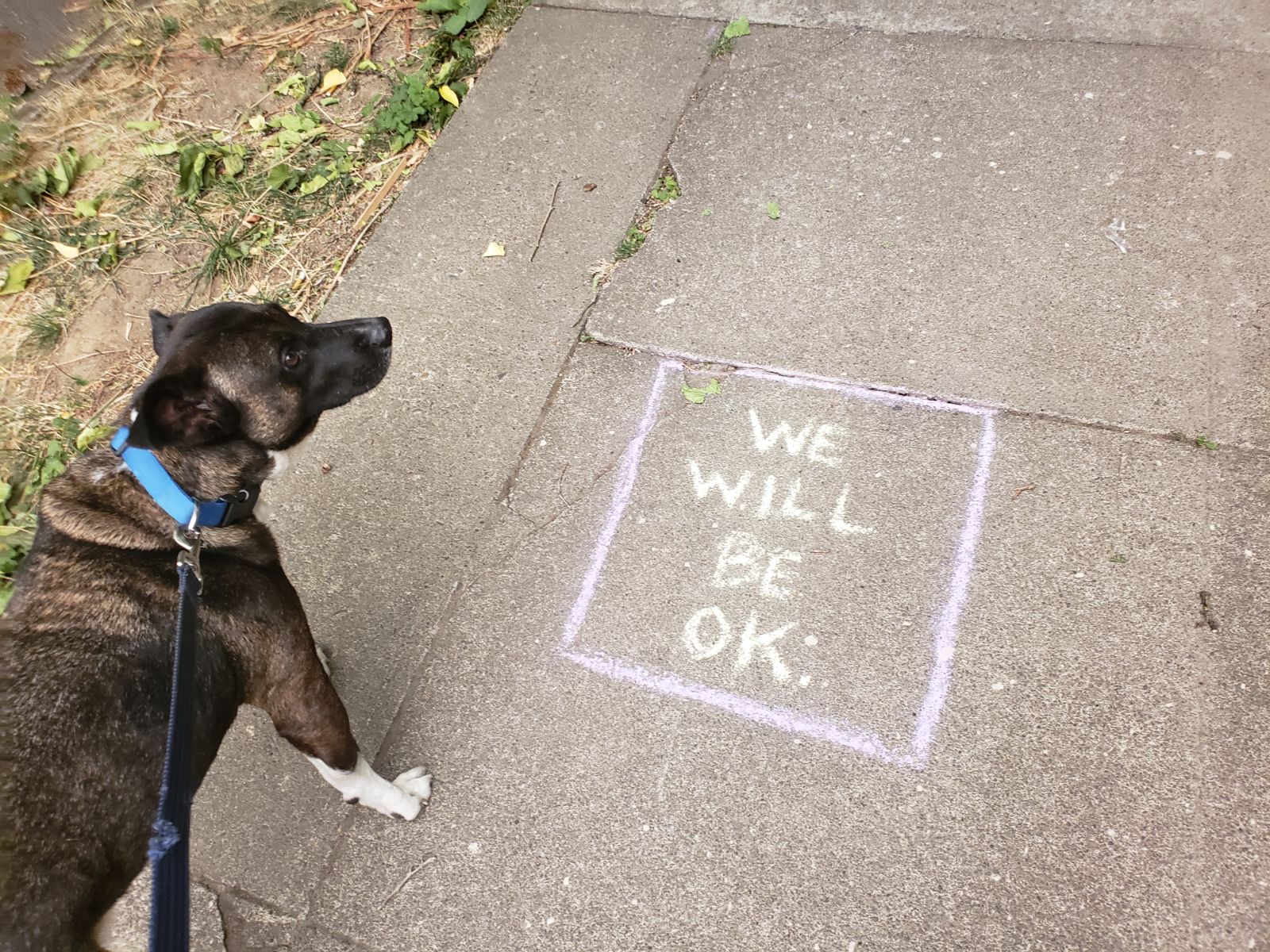 Guante next to chalk that says we will be ok