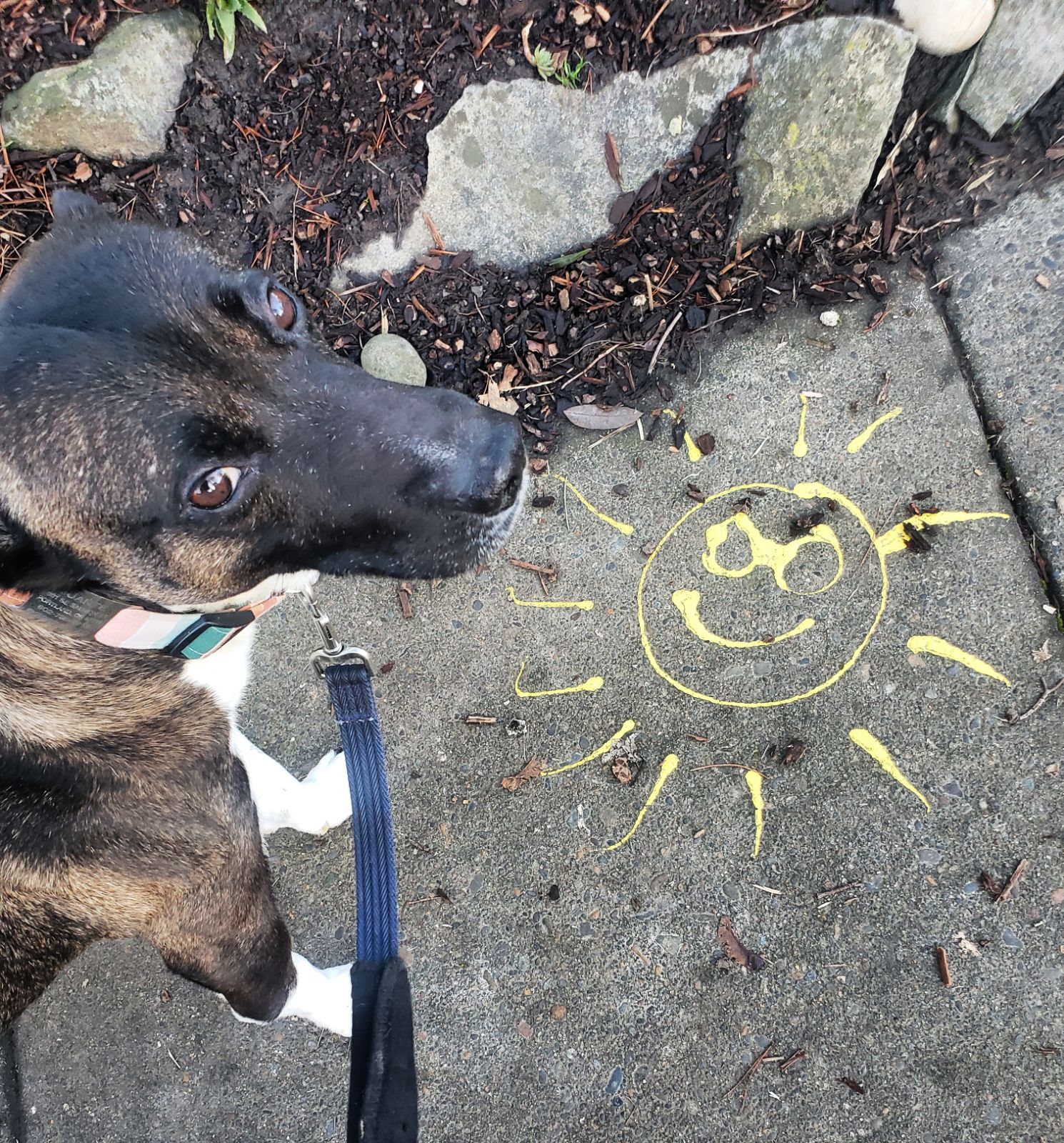 Guante next to a chalk sun drawing