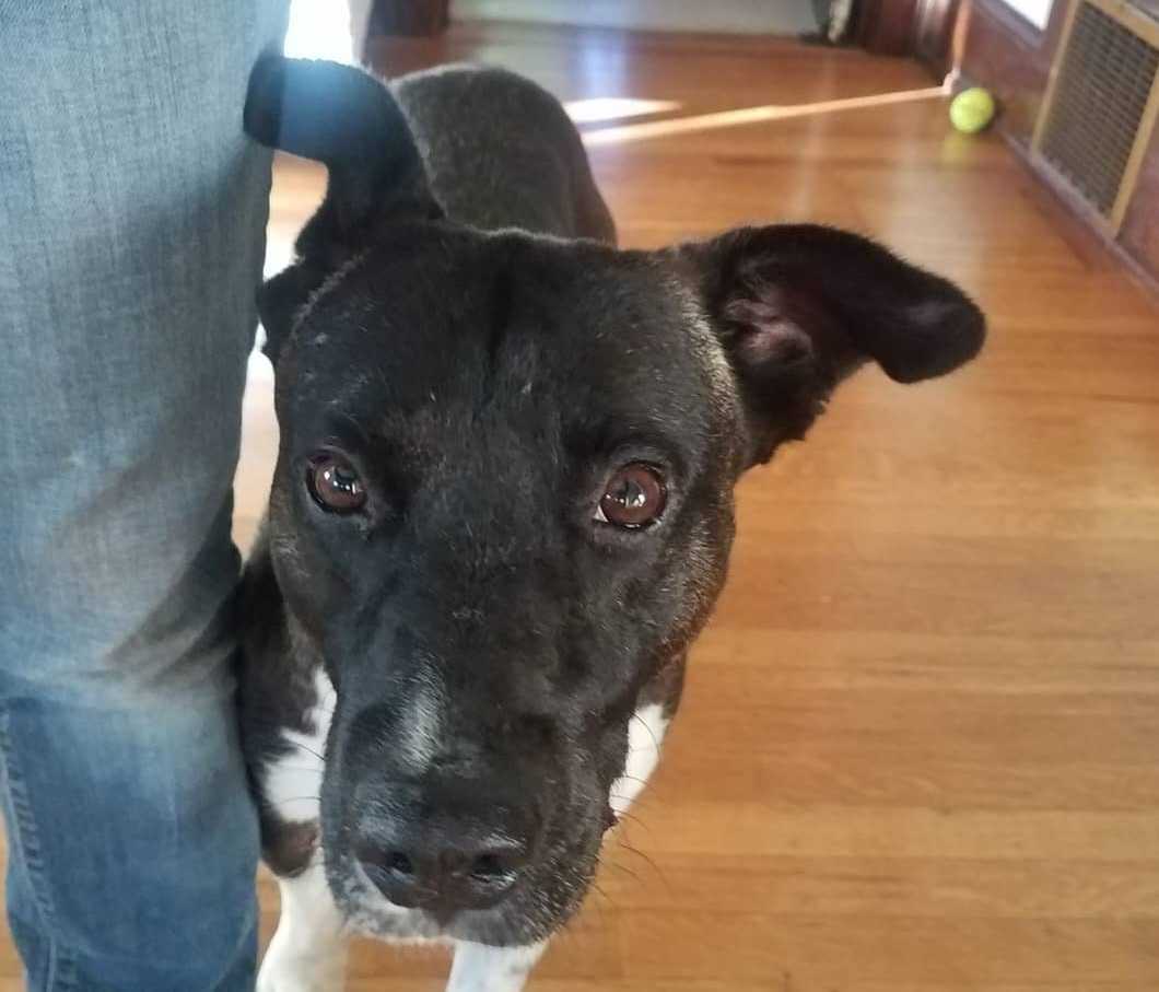 Guante looking up, ready for the ball